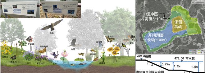 PG电子官方网站风景园林与旅游类 2019北京世园会自然生态展示区园林景观工程设(图5)