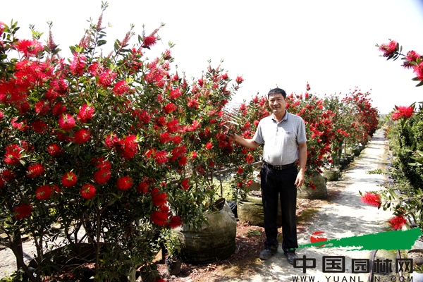 PG电子官网名荟苗圃俞民伟：涉足万里 只求“唯一”(图2)