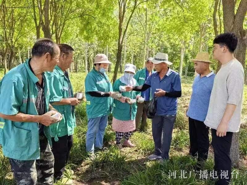 PG电子官网石家庄市园林局园林绿化管护中心开展“战高温 送清凉 保安全”活动(图1)