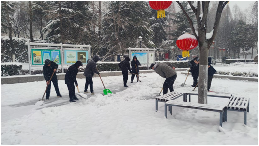 PG电子官网以“雪”为令迎“寒”而上园林人在行动！(图3)