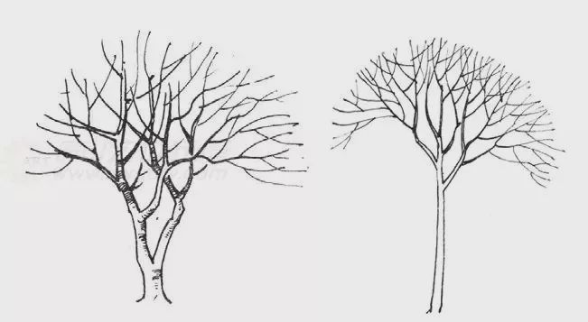 PG电子官方网站景观设计手绘草图大全错过你会后悔(图2)