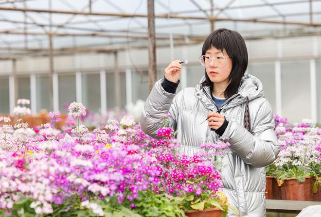 PG电子官网报春花儿来：为成都街头“穿花衣”(图2)