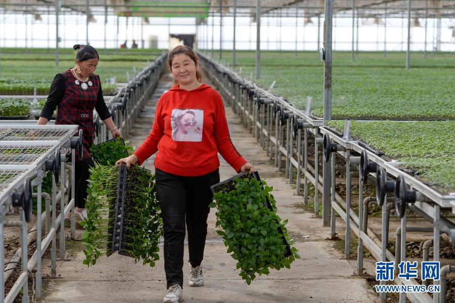 PG电子官方网站告别千年苦寒 共圆小康梦想——新疆万里边境上的脱贫纪实(图4)