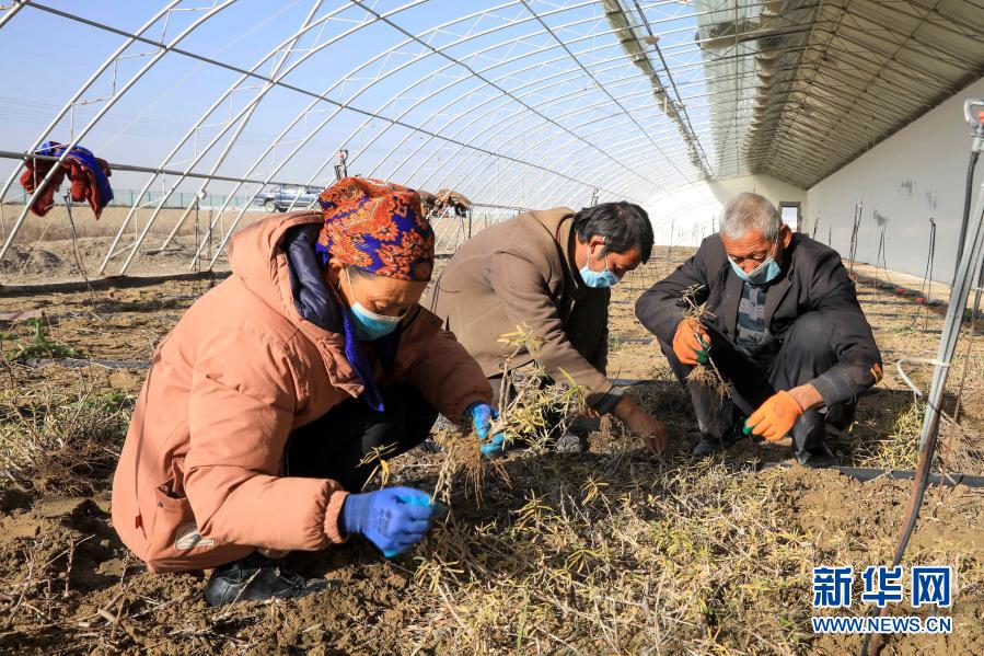 PG电子官方网站告别千年苦寒 共圆小康梦想——新疆万里边境上的脱贫纪实(图7)